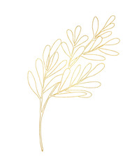 Outline leaf with golden texture. Hand drawn Tea tree branch with leaves isolated on white background. Illustration for logo design, cards, printing, package, stickers, cosmetics, decoration.
