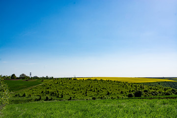 Fototapeta na wymiar Spring. Yellow field in the village and beautiful sky.Beautiful landscape in yellow and blue.Business activities and fields sown