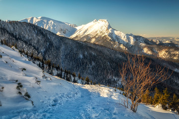 Fototapeta na wymiar Zejście do Doliny Jaworzynki w Tatrach