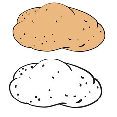 potato in color and without color in the outline, isolated object on a white background, vector illustration,