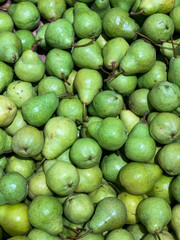 lots of ripe green pears for cooking a background