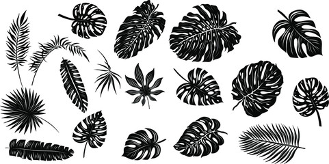 palm leaves set black and white