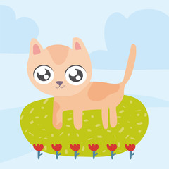 cute cat, animal in kawaii style