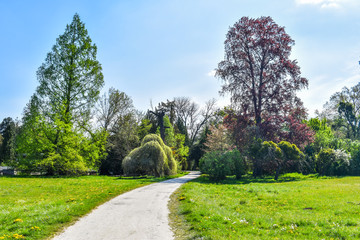Spring walk on the weekend in beautiful nature.