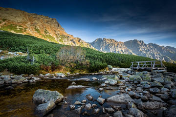 Potok Roztoka wypływający z Doliny Pięciu Stawów Polskich w Tatrach Wysokich