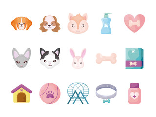 set of icons with domestic animals and accessories