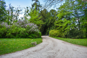 Fototapeta na wymiar Spring walk on the weekend in beautiful nature.