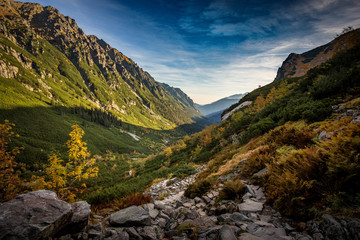 Jesienna Dolina Roztoki w Tatrach Polskich - obrazy, fototapety, plakaty