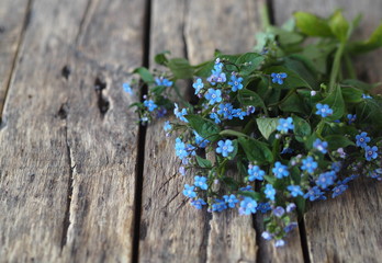Spring floral background. Bouquet of tender blue forget me nots on a wooden table with a chair in the foreground. Place for text.