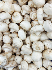 lots of mushrooms for cooking as a background