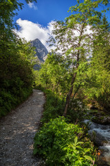 Zielony Potok płynący Zieloną Doliną Kieżmarską w Tatrach słowackich