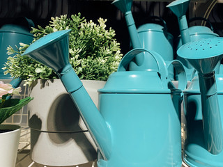 garden watering cans for watering plants in the garden