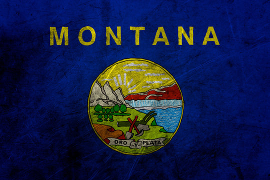 Flag of montana, USA, on a grunge metal texture
