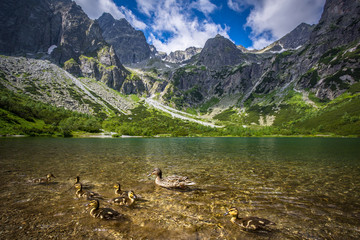 Fototapeta na wymiar Zielony Staw Kieżmarski w Tatrach Wysokich, Słowacja