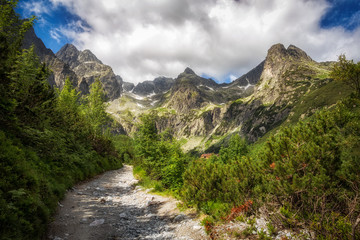 Fototapeta na wymiar Zielona Dolina Kieżmarska w słowackich Tatrach