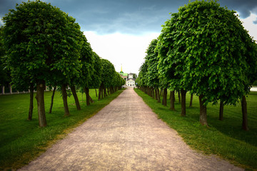 Fototapeta na wymiar tree alley in the park leads to an old manor