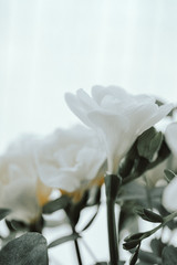 Fototapeta na wymiar White freesias arrangement bouquet