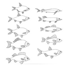Doodle fish set isolated on white. Outline sturgeon, pike etc icon. Seafood, logo. Hand drawing art line. Coloring page book. Sketch vector stock illustration