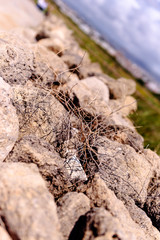 Tower made of gray stones