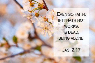 Bible quotes on blurred blooming nature background. Card for believers. Inspirational verse praying...