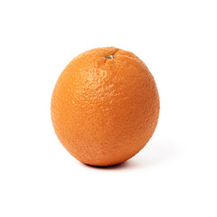 fresh orange on a white background