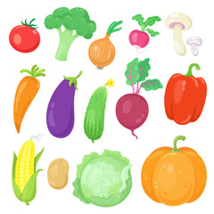Big set of  vegetables.  Isolated on white background. Vector flat illustration.