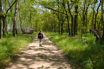 Fototapeta premium Hiking in spring in the federaBrandenburg, Germany