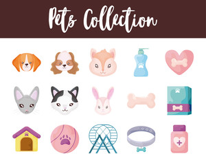 set of icons with domestic animals and accessories
