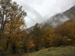 Autumn View of Gerogia