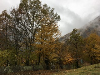 Autumn View of Gerogia