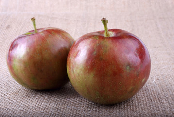 Apples on bagging