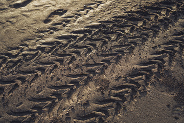trace from car tyres on wet sand