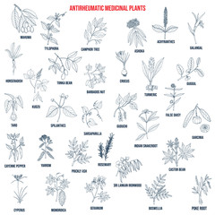 Best anti-rheumatic herbs, natural botanical set