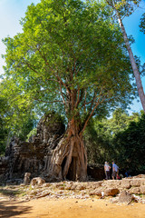 Fototapeta na wymiar Angkor Wat (Cambodia)
