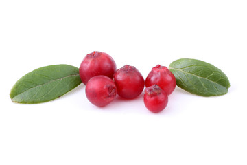 Cowberry