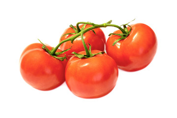 branch with red ripened tomatoes on a white background close-up. isolate