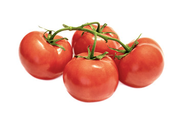 branch with red ripened tomatoes on a white background close-up. isolate
