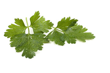 Parsley