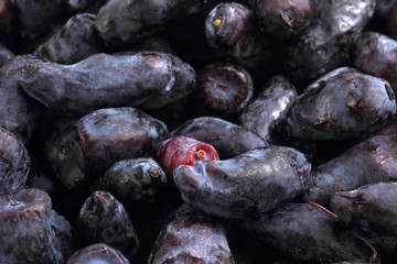 Honeysuckle berries background