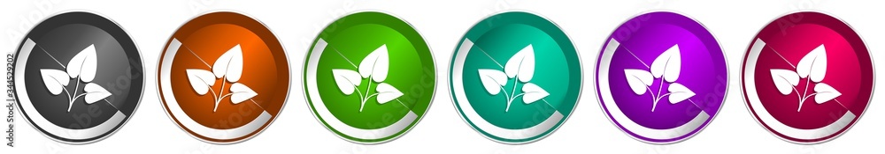 Leinwandbilder leaf icon set, silver metallic chrome border vector web buttons in 6 colors options for webdesign