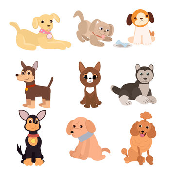 Set of cute dogs, pets, isolated on a white background