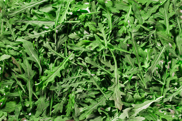 green rucola leaves texture / background
