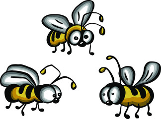 Vector  illustration of honey bee on white background