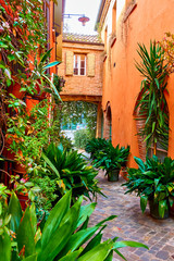 Fototapeta na wymiar Small garden with plants in flowerpots in narrow alley