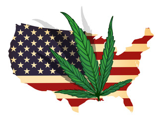 USA map and cannabis leaf. Vector image
