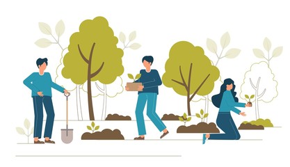Fototapeta premium Reforestation concept. Forest restoration, reforestation planting trees, environment day.