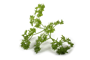 Parsley