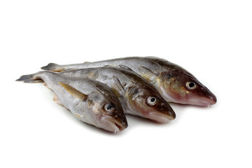 Saffron cod