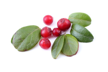 Cowberry