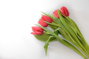 Bouquet of five red tulips on a white background with leaves, bottom view